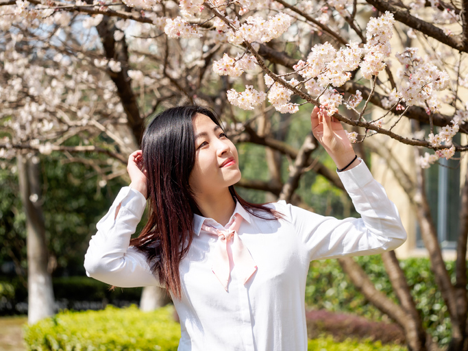 Portrait of asian girl student in school uniform japanese style, smiling among blossom cherry tree brunch in spring garden, beauty, summer, emotion, expression and people concept.